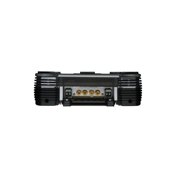 What is a dissertation picture